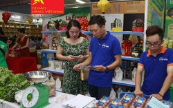 Hàng hóa Việt Nam có nhất thiết phải nội địa hóa 100% bằng mọi giá?