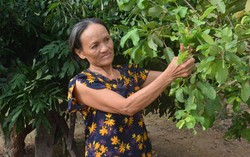 Xây dựng gia đình '5 không, 3 sạch' ở Hà Tĩnh: Thay đổi nếp sống bắt đầu từ nếp nghĩ