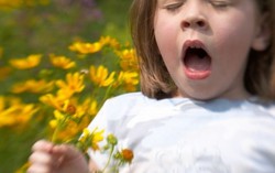 Hàng nghìn người nhập viện vì 'bão hen suyễn'