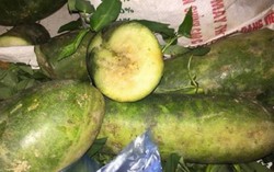 Thực phẩm bẩn vào trường, hiệu trưởng phải bị xử lý