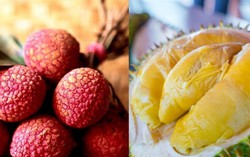 Những món kết hợp với sầu riêng có thể gây hại cơ thể