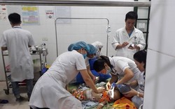 Bé gái 22 tháng tuổi bị chó nhà hàng xóm cắn tử vong