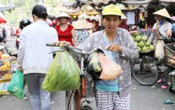 Bài 1: Gi gỉ gì gi cái gì cũng đựng trong túi nilon