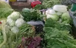 Rau xanh tăng giá mạnh