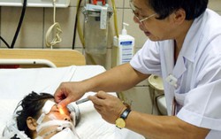 Liên tục có bệnh nhân nhập viện do rắn cắn
