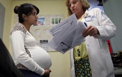 Mỹ công bố tình trạng y tế khẩn cấp do virus Zika
