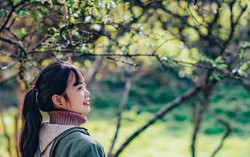 Xuân về nơi cổng trời Mường Lống