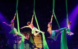 ‘Tài năng vàng’ của nghệ thuật xiếc biểu diễn ở Đà Nẵng, TPHCM