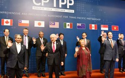 Tăng cường tuyên truyền thông tin về thị trường các nước tham gia CPTTP