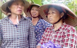 Đau thương chảy tràn bến đò Hồng Lý