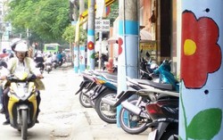 Cột điện "nở hoa": Dân phố thích, dân mạng chê