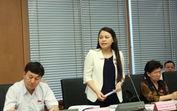 Phụ nữ, trẻ em bị bạo lực cần trợ giúp pháp lý miễn phí