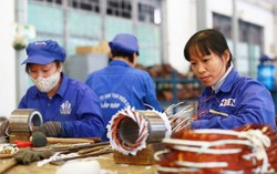 Tuổi nghỉ hưu: Cần giải 'bài toán' nam 62, nữ 60