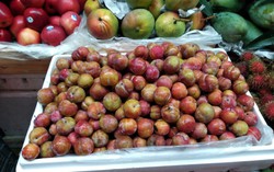 Mận Trung Quốc 'tung hoành' thị trường