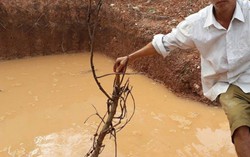Hà Tĩnh: 2 anh em tử vong trong hố nước ở sân trường tiểu học