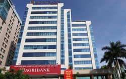 Agribank đứng đầu trong hệ thống ngân hàng đạt Top 10 VNR500 năm 2018