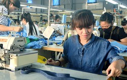 Đại biểu Quốc hội trăn trở với đời sống công nhân '5 không'