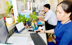 Tổng biên chế công chức năm 2020 được phê duyệt là hơn 253 nghìn 