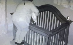 Clip bà ru cháu cùng ngã nhào vào cũi 'gây bão' cộng đồng mạng