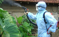Trường học Hà Nội căng mình phòng chống sốt xuất huyết
