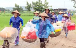 Thủ tướng phê duyệt Kế hoạch phòng chống thiên tai quốc gia