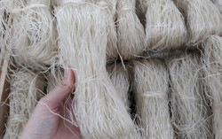 Giáo viên dạy nấu ăn mách bạn dấu hiệu nhận biết miến sạch và ngon