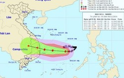 Bão số 6: nguy cơ cao xảy ra lũ quét, sạt lở đất