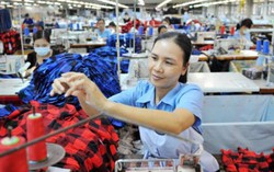 Các phương án tăng tuổi nghỉ hưu cho nam và nữ