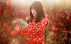 Bâng khuâng chiều 30 Tết