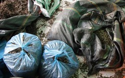 Hải Phòng: Phát hiện 3,5 tấn thuốc đông y không rõ nguồn gốc xuất xứ