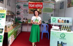 Vượt qua nỗi cô đơn, đưa tảo mặt trời ra thế giới