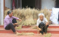 5.600 cựu nữ thanh niên xung phong không nơi nương tựa