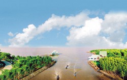 Phiêu trên sông nước Cà Mau