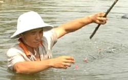 8 người trong gia đình chỉ có 1 điểm tựa mưu sinh