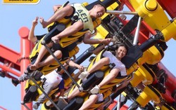 Giải mã cơn ghiền Dragon Park của tín đồ game mạo hiểm