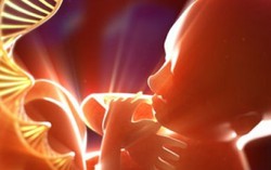 Chuyên gia tư vấn tránh sinh con bị tan máu bẩm sinh
