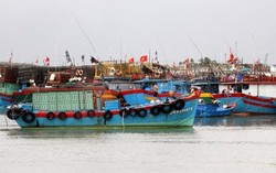 Các tỉnh từ Đà Nẵng đến Bà Rịa-Vũng Tàu cần ứng phó với áp thấp