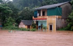 Mưa to đến rất to gây nhiều thiệt hại tại phía Bắc