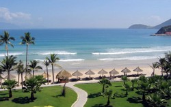 Say xứ sở xương rồng Phan Rang
