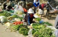 Giá rau xanh Hà Nội tăng vọt sau Tết
