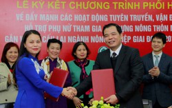 Phát huy sức mạnh toàn diện của phụ nữ xây dựng Nông thôn mới