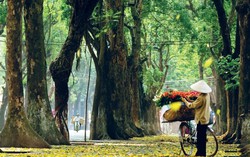 Thương Hà Nội quá!