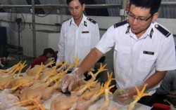 Lập đường dây nóng về an toàn thực phẩm