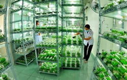 Hội nghị Bộ trưởng Tài chính APEC hướng tới phát triển nền nông nghiệp