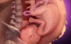 Khám phá giai đoạn chuyển dạ trước khi bé chào đời