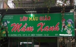 Tòa án yêu cầu xử lý hình sự thêm một bảo mẫu cơ sở mầm xanh