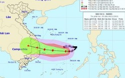 Bão số 6: Người dân Bình Định căng mình chống bão