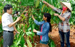 Làng Mrah thoát nghèo từ “Xây dựng gia đình 5 không, 3 sạch”