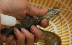 Bước đột phá trong kiểm tra an toàn thực phẩm