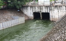 Hà Nội lên tiếng về kết quả thí điểm làm sạch sông Tô Lịch bị thay đổi